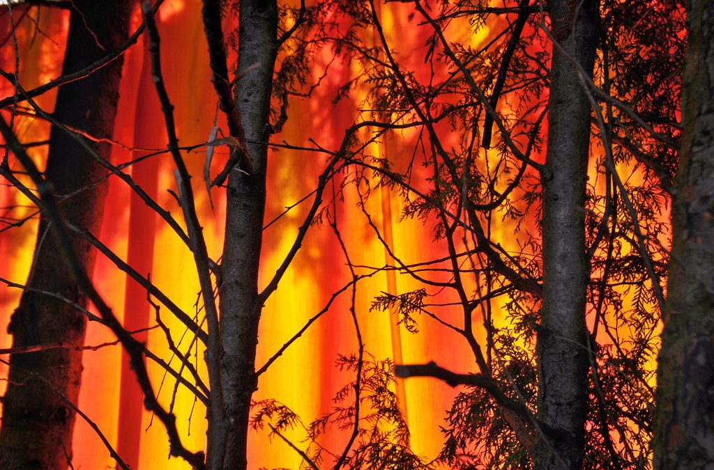 Festa per i 10 anni dell’unico centro in Italia dedicato all’addestramento antincendi boschivi