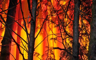 Festa per i 10 anni dell’unico centro in Italia dedicato all’addestramento antincendi boschivi